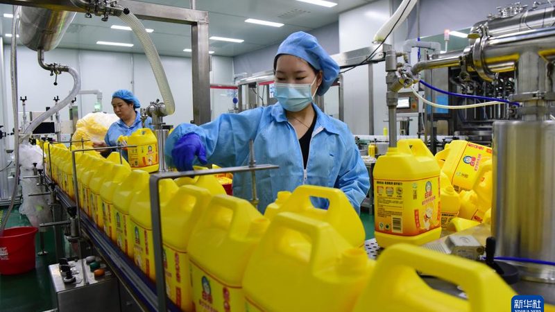 宠物食品防腐剂国家标准解析：守护宠物健康的坚实后盾
